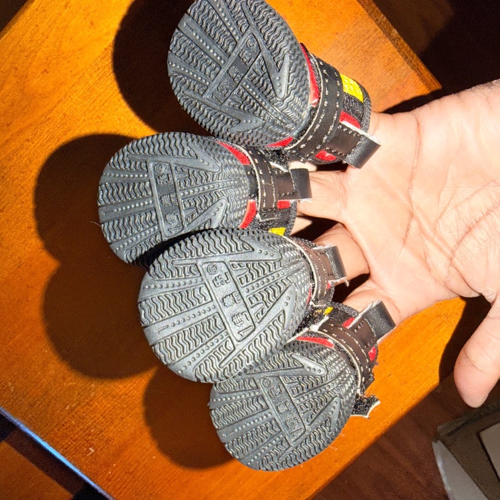 Stylish Red and Black Dog Boots - Picture 3 of 5